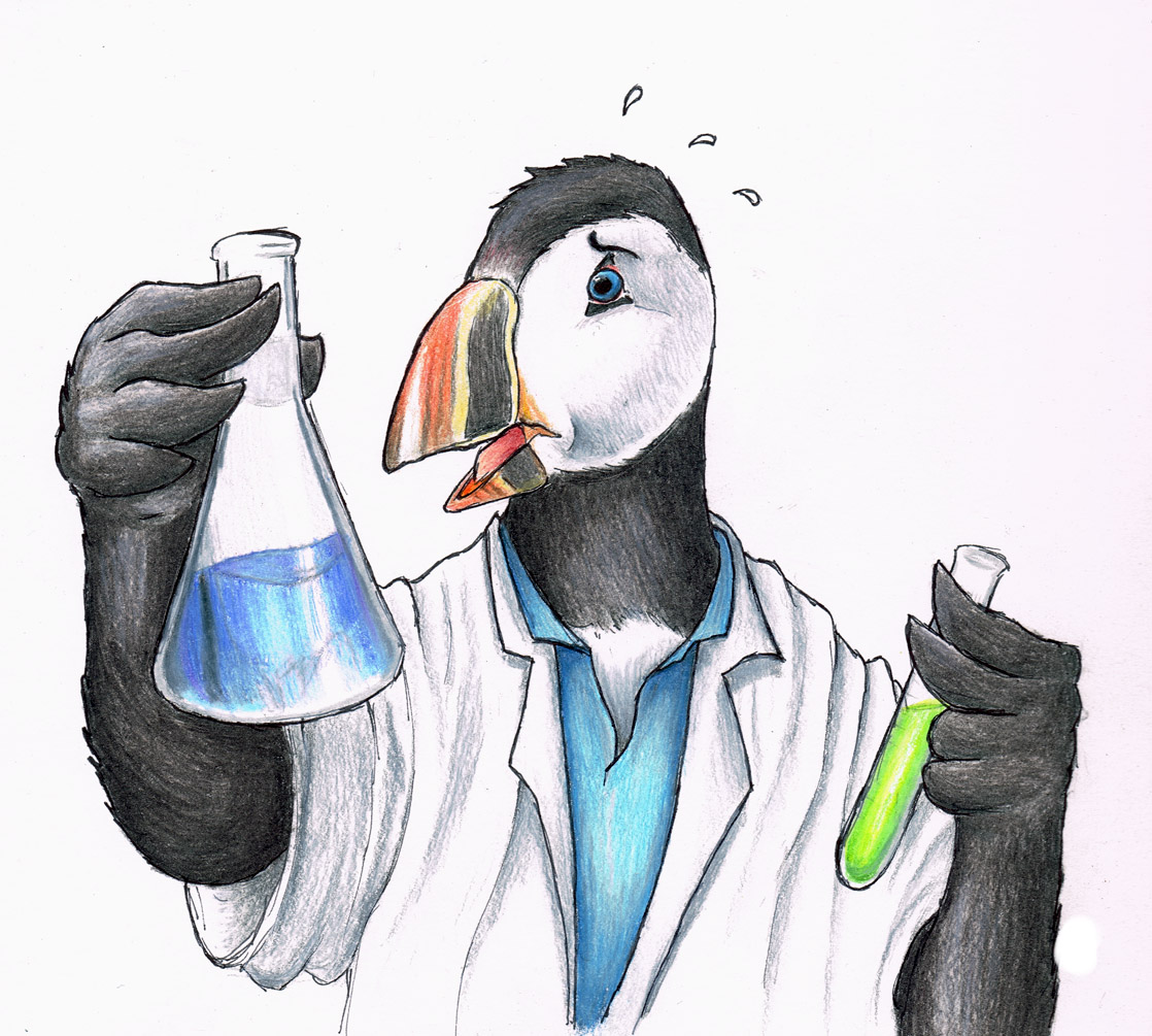 Puffin potion by Sergio P. Wolf