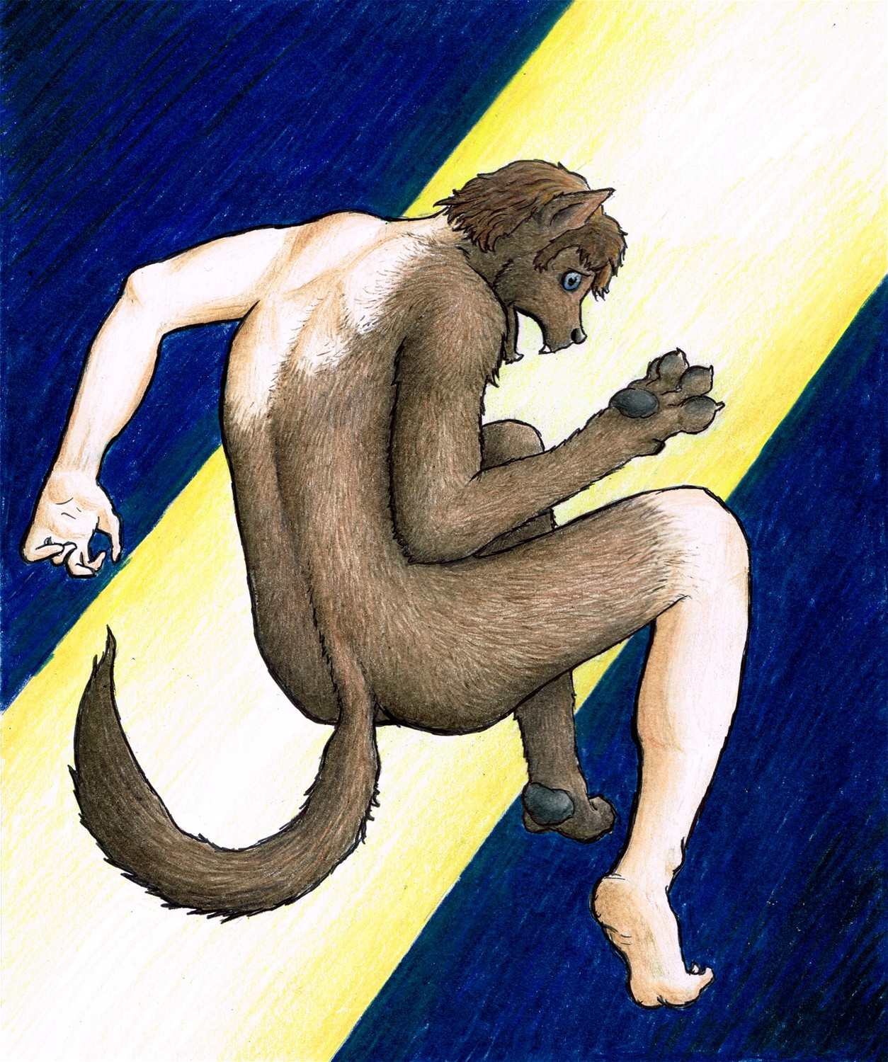 Wolf as a Dream by Sergio P. Wolf