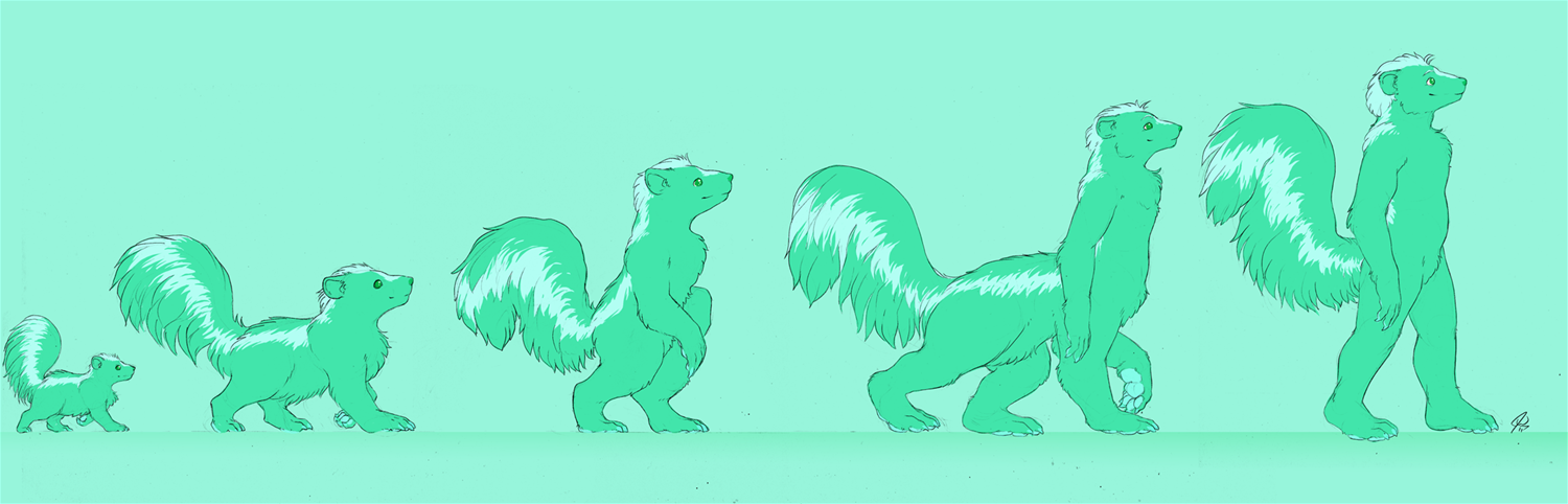 The Evolution of Fluff by Amber-Aria