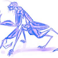 Sequence Image 4