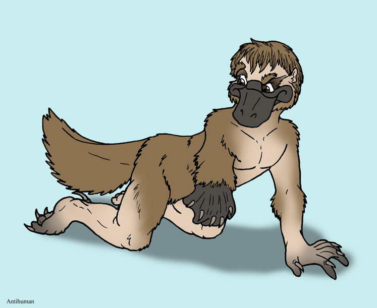 Platypus by Antihuman