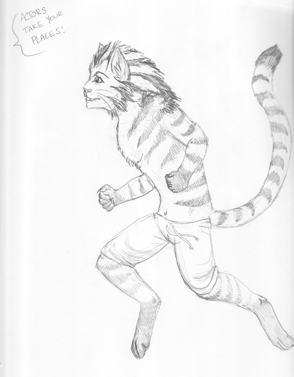 Catssm by Arania
