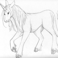 Sequence Image 5