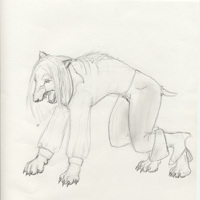 Sequence Image 5