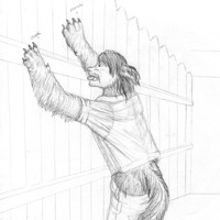 Sequence Image 8