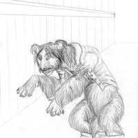 Sequence Image 9
