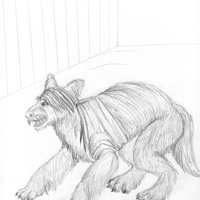 Sequence Image 10