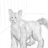 Sequence Image 11