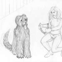 Sequence Image 13