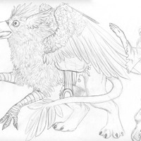 Sequence Image 9