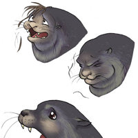 Sequence Image 9