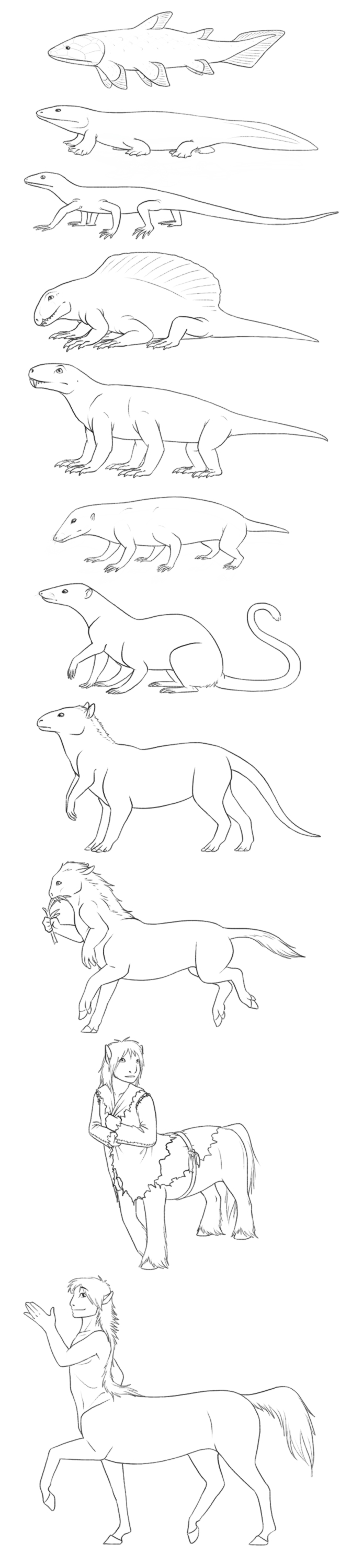 evolution by Birvan
