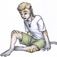 Sequence Image 3