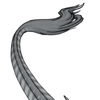 Sequence Image 6