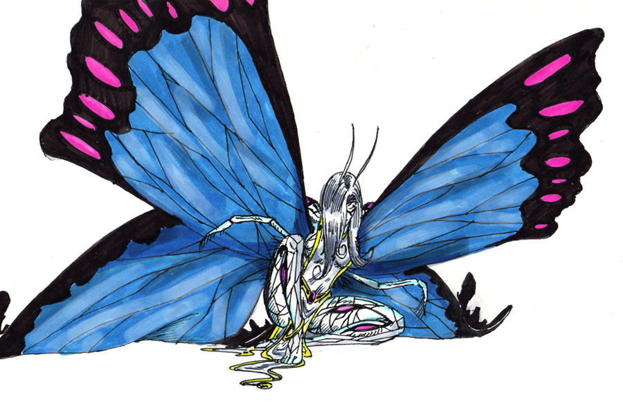 bflysmall by Carillon