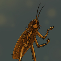Sequence Image 5