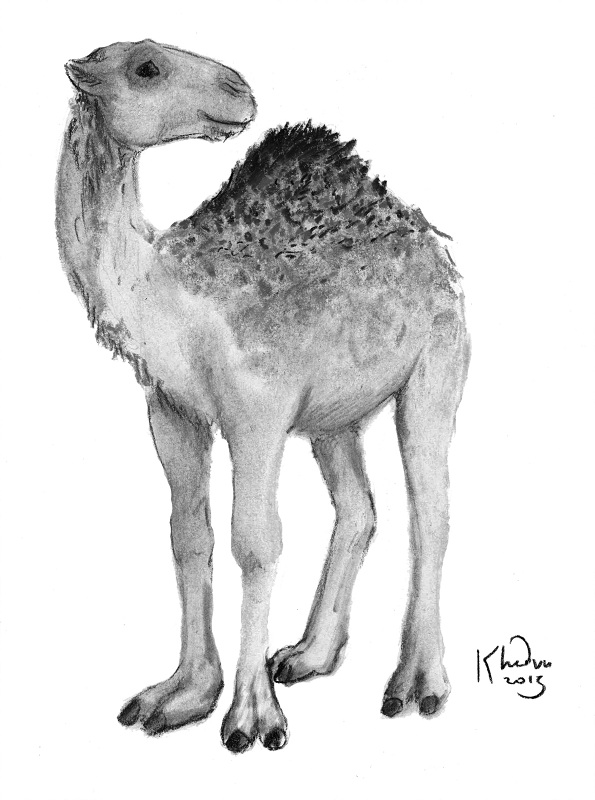 Ehh123 Camel Uplift! by Ciervo