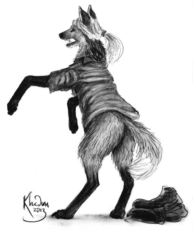 El Aguará Guazú Alemán - Maned Wolf by Ciervo