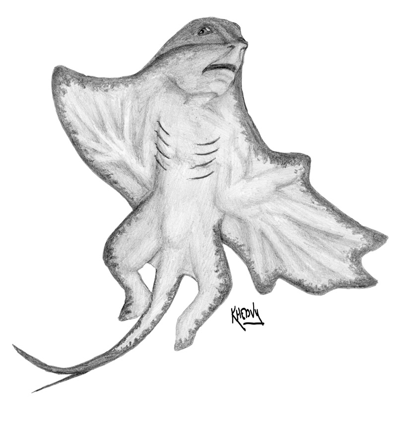 Stingray TF by Ciervo