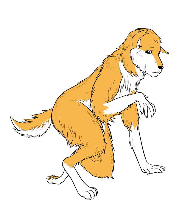 Collie Rescuer Animal to Anthro by Cobalt_K