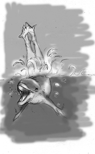dolphin by Corvidima