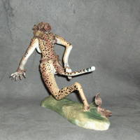 Sequence Image 8