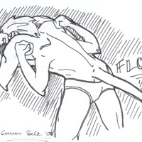 Sequence Image 2