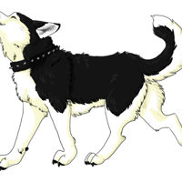 Sequence Image 5