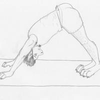 downward dog by DakotaCat