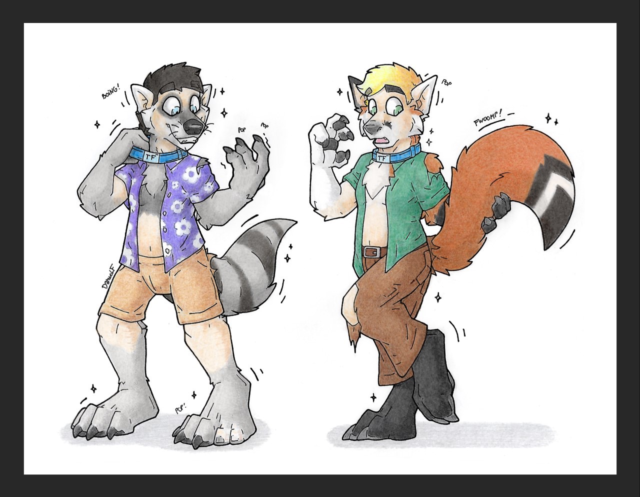 Matching collars by Danwolf
