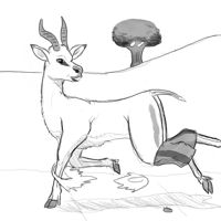 Sequence Image 4