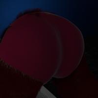Sequence Image 15