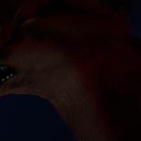 Sequence Image 21