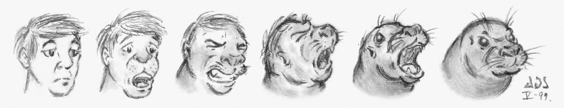 sealhead by Ealadubh