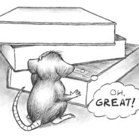 Sequence Image 11