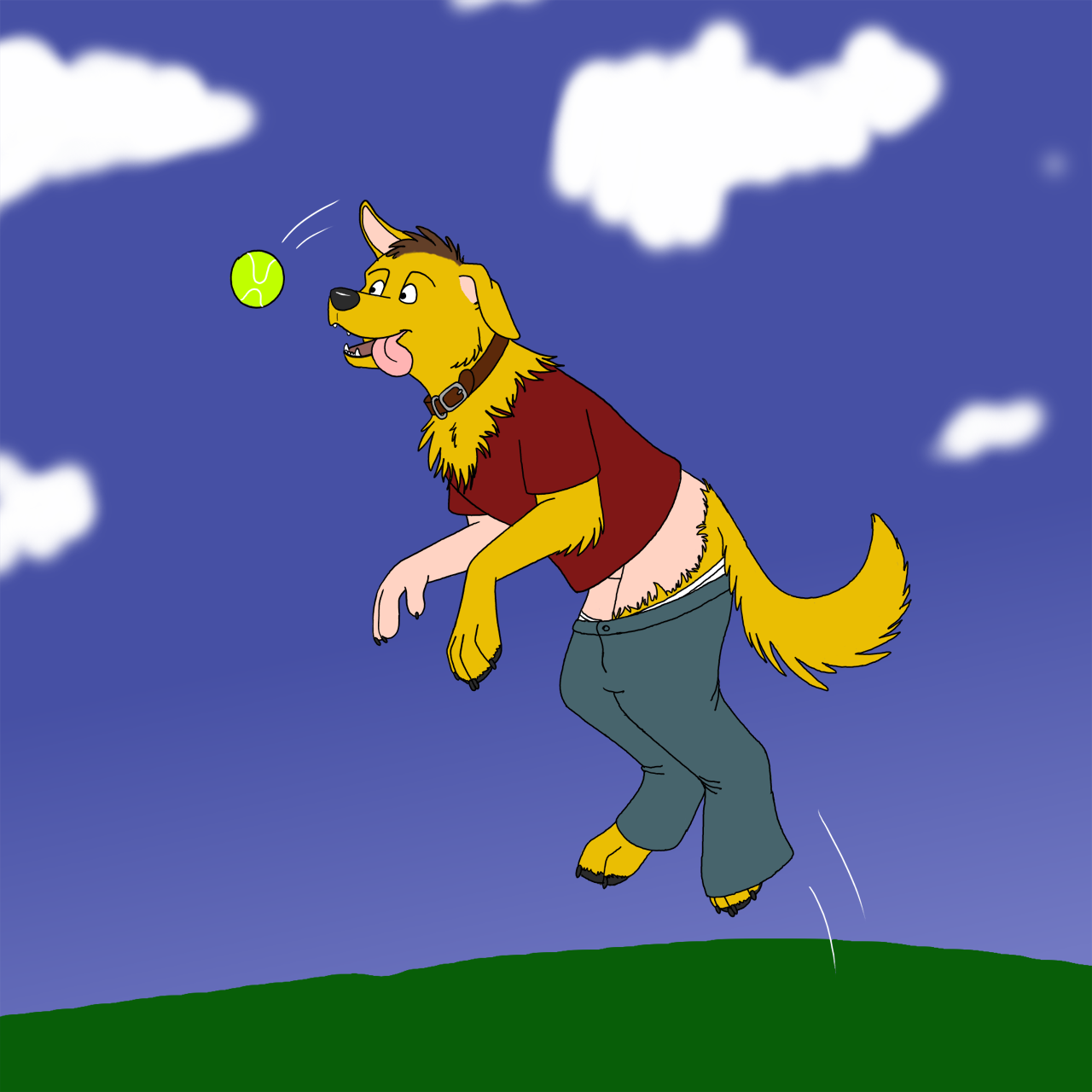 fetch by Edthebordercollie