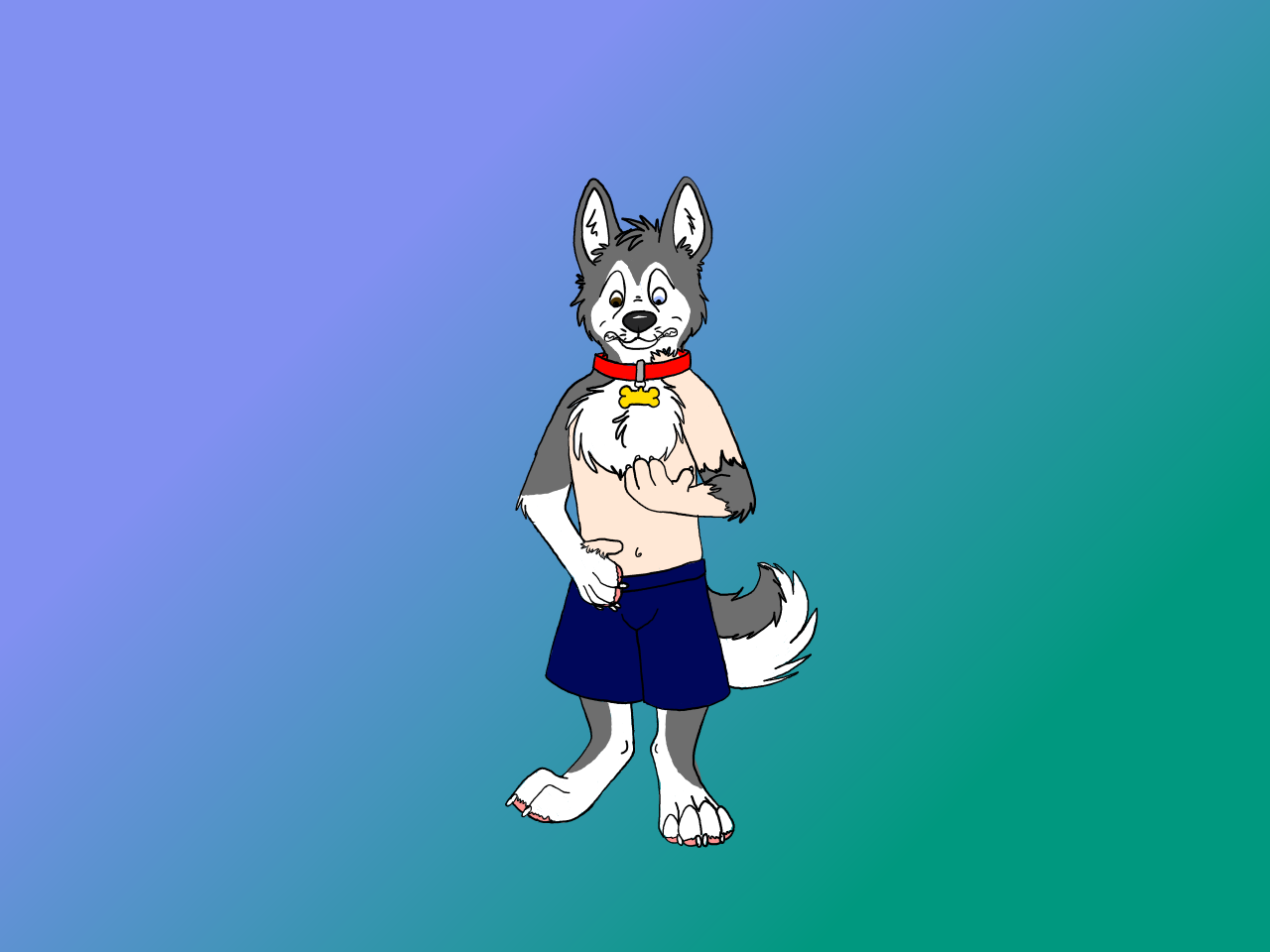 Husky by Edthebordercollie
