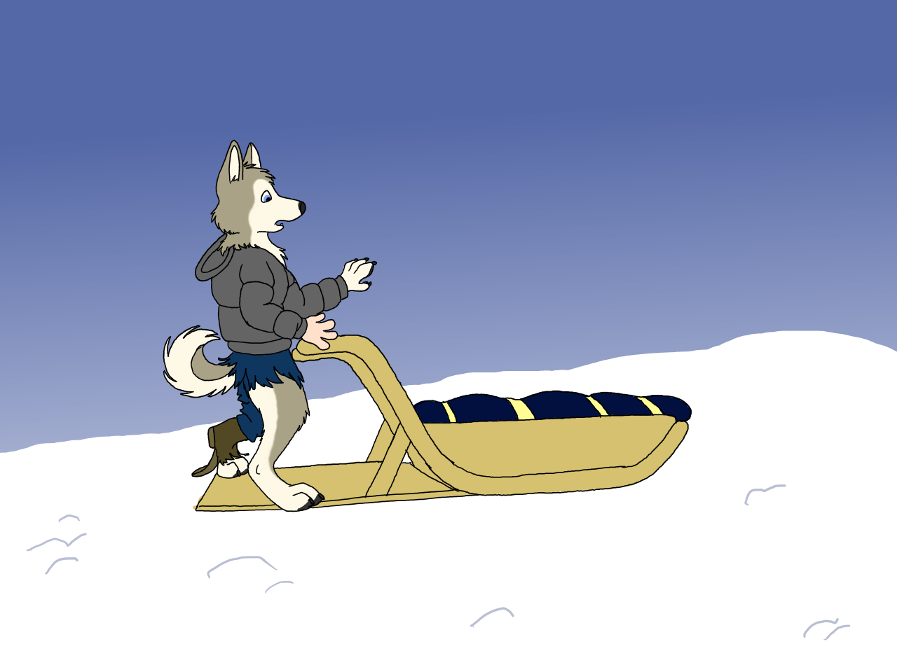 Malamute by Edthebordercollie