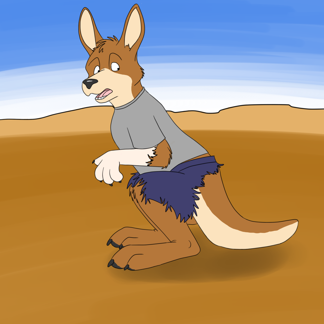 Roo by Edthebordercollie