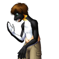 Sequence Image 3