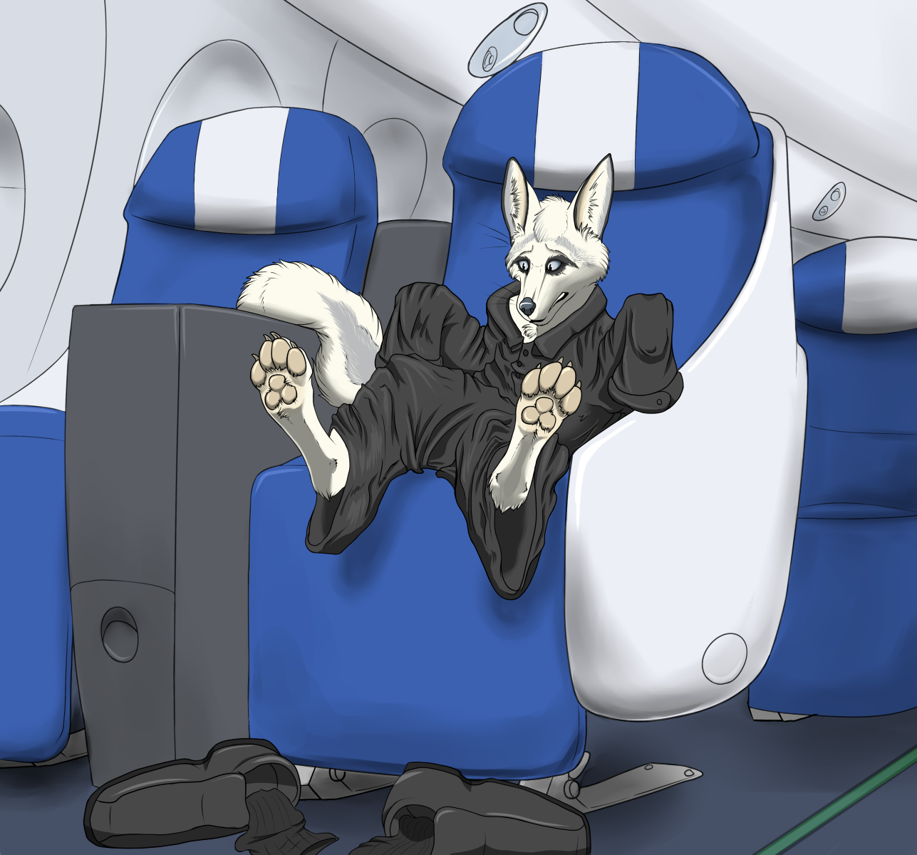 Plane Fox by Fazar
