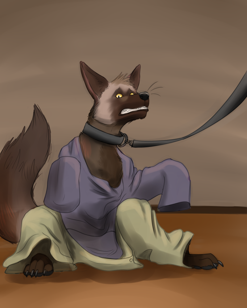 Foxes For Sale by Fazar