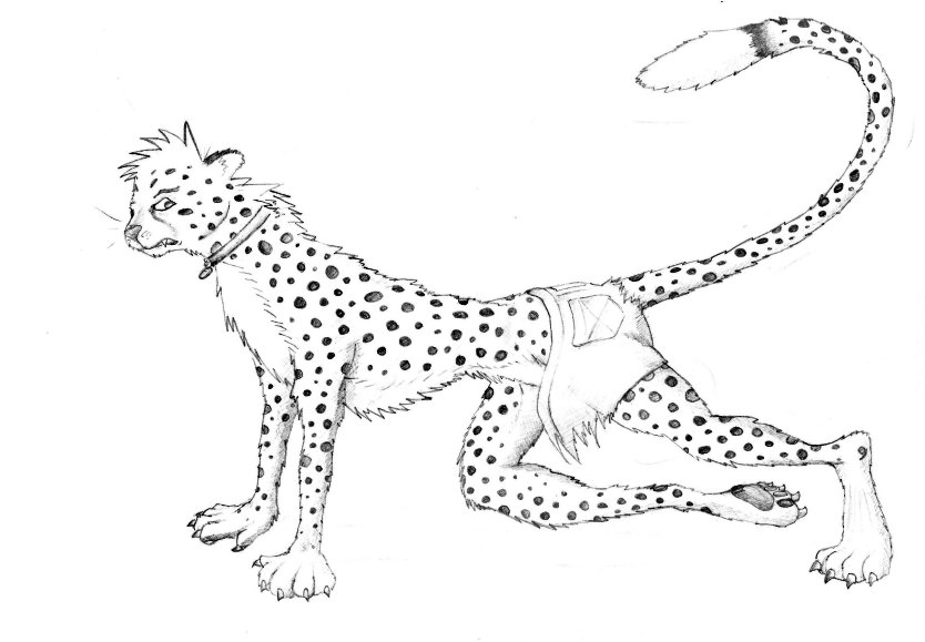 Cheetah-Guy by Fenchurch