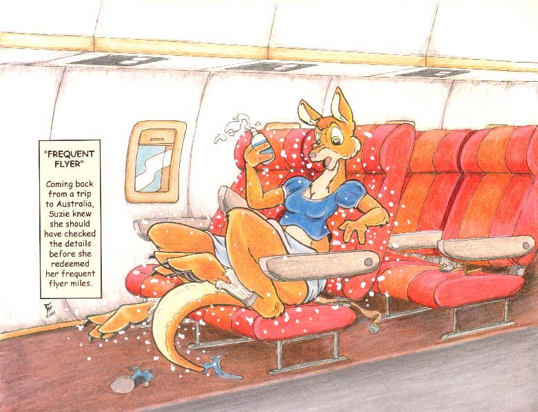 frequentflyer by Flinters