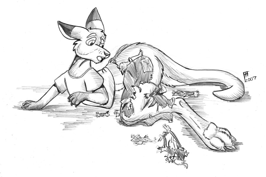 rooformation- by Flinters