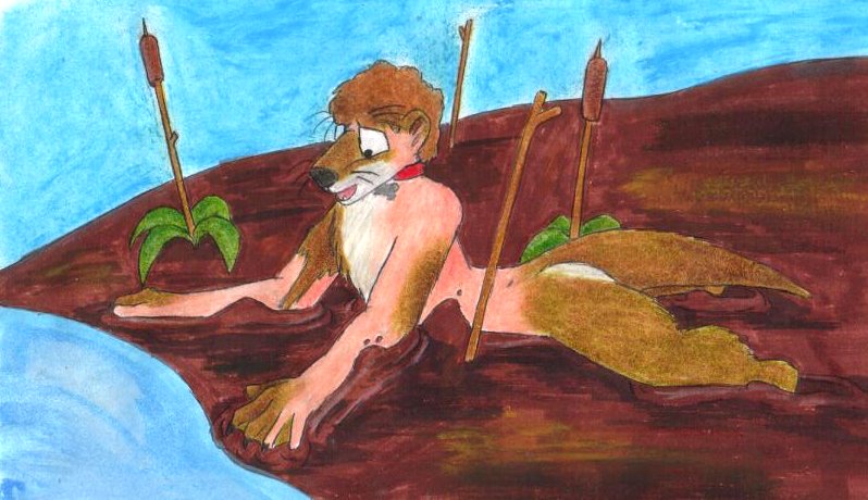 Brownkit by Foxx