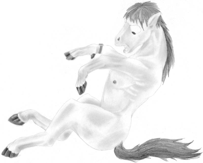 Equined by Foxx