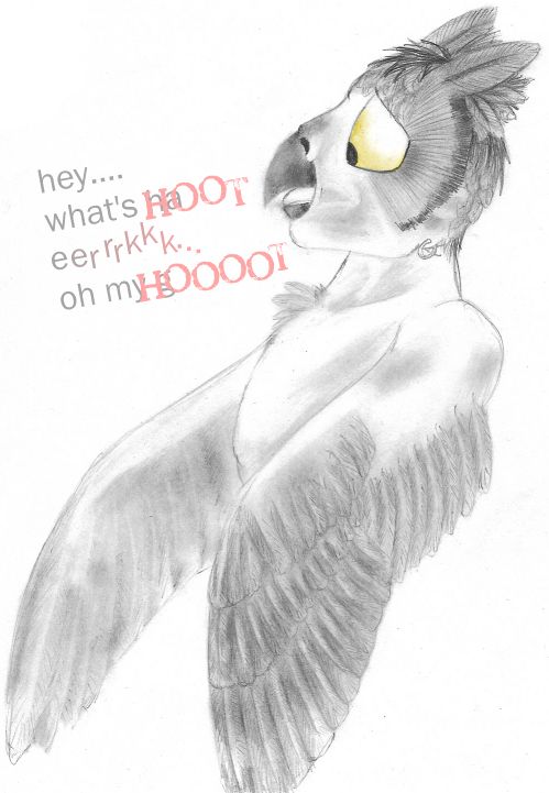 Hoot by Foxx
