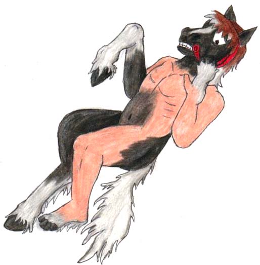 HorseSide by Foxx