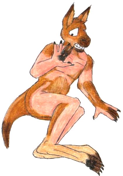 LandDownUnder by Foxx